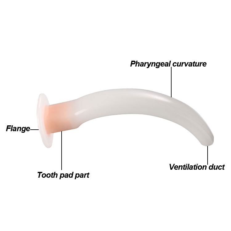 Disposable Oropharyngeal Airway Dental Pad Oropharyngeal Airway Oral Airway