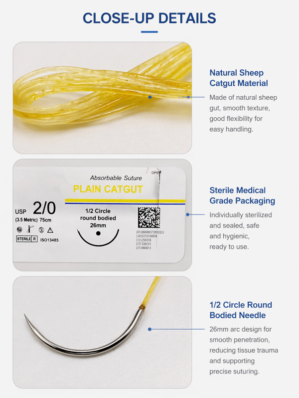 Factory Direct Sales Plain Catgut Absorbable Surgical Sutures Ce Certified Medical Grade Sterile Usp4-7/0 Model For General Surgery Source Factory